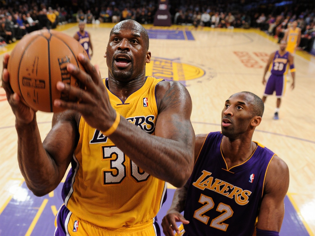 通过以上几 通过以上几